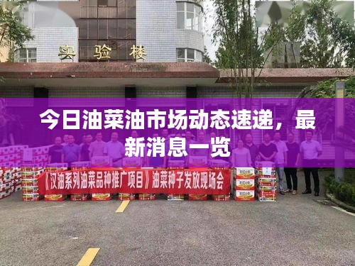 今日油菜油市場動態(tài)速遞，最新消息一覽