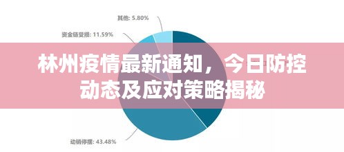 林州疫情最新通知，今日防控動態(tài)及應(yīng)對策略揭秘