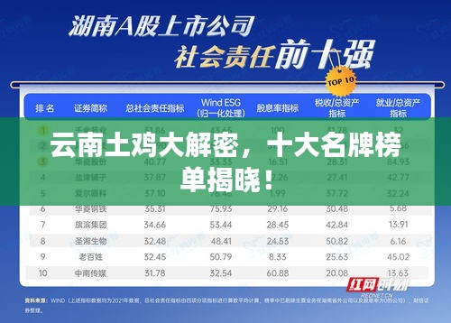 云南土雞大解密，十大名牌榜單揭曉！