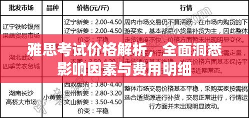 雅思考試價(jià)格解析，全面洞悉影響因素與費(fèi)用明細(xì)