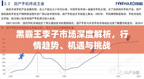 黑霸王李子市場深度解析，行情趨勢、機(jī)遇與挑戰(zhàn)