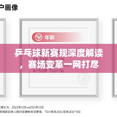乒乓球新賽規(guī)深度解讀，賽場變革一網(wǎng)打盡