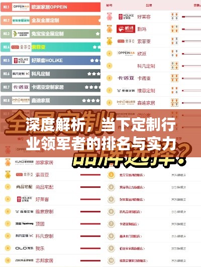 深度解析，當(dāng)下定制行業(yè)領(lǐng)軍者的排名與實力比拼！