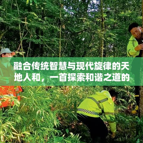 融合傳統(tǒng)智慧與現代旋律的天地人和，一首探索和諧之道的歌曲