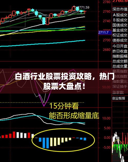 白酒行業(yè)股票投資攻略，熱門股票大盤點！