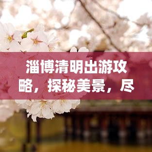 淄博清明出游攻略，探秘美景，盡享文化盛宴！