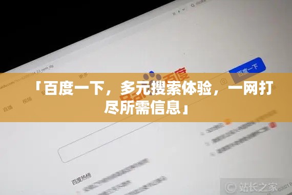 「百度一下，多元搜索體驗(yàn)，一網(wǎng)打盡所需信息」