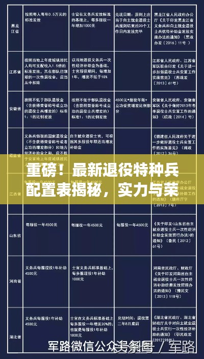重磅！最新退役特種兵配置表揭秘，實力與榮耀并存