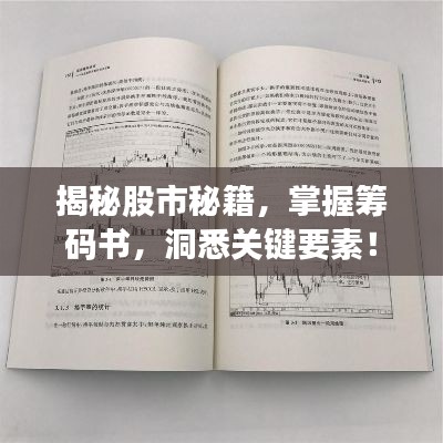 揭秘股市秘籍，掌握籌碼書，洞悉關(guān)鍵要素！