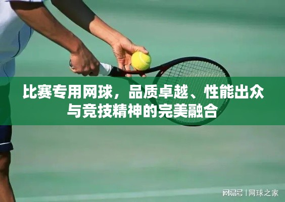 比賽專用網(wǎng)球，品質(zhì)卓越、性能出眾與競技精神的完美融合
