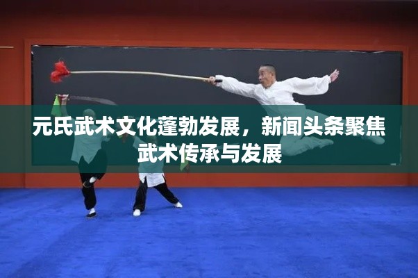 元氏武術(shù)文化蓬勃發(fā)展，新聞?lì)^條聚焦武術(shù)傳承與發(fā)展