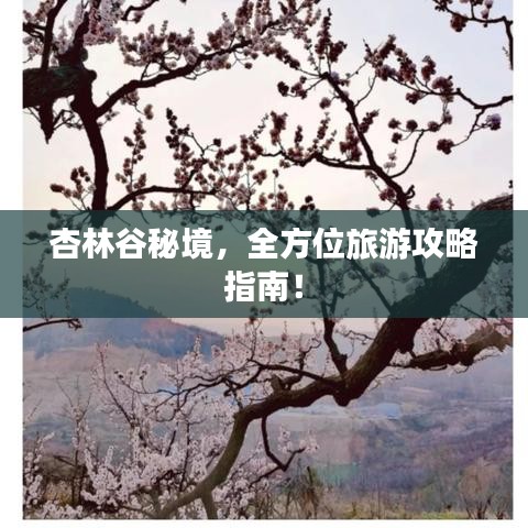 杏林谷秘境，全方位旅游攻略指南！