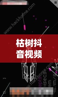 枯樹抖音視頻，探索最新版視頻世界，體驗獨特魅力