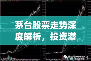 茅臺(tái)股票走勢(shì)深度解析，投資潛力與風(fēng)險(xiǎn)洞察
