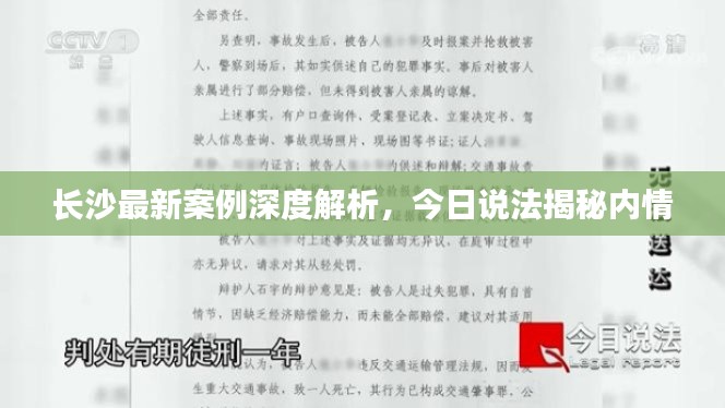 長沙最新案例深度解析，今日說法揭秘內情
