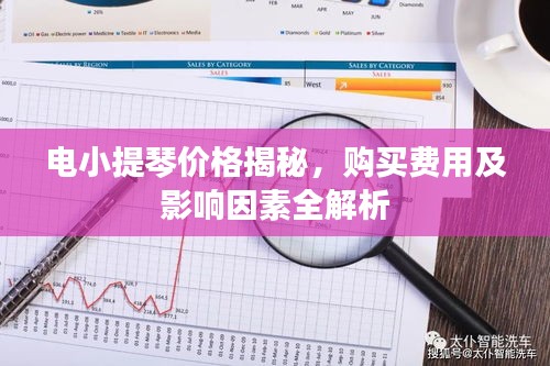 電小提琴價格揭秘，購買費(fèi)用及影響因素全解析