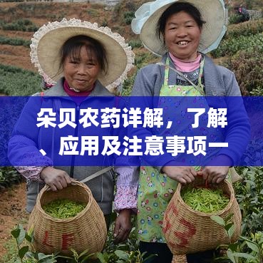 朵貝農(nóng)藥詳解，了解、應(yīng)用及注意事項一網(wǎng)打盡
