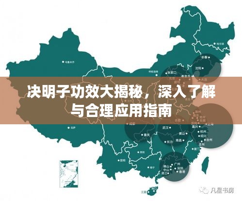 決明子功效大揭秘，深入了解與合理應(yīng)用指南