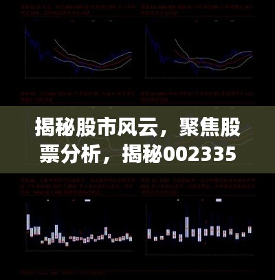 揭秘股市風(fēng)云，聚焦股票分析，揭秘002335股票動態(tài)與前景展望