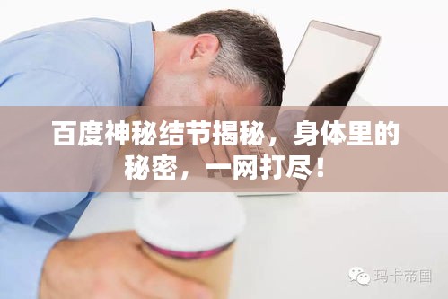 百度神秘結(jié)節(jié)揭秘，身體里的秘密，一網(wǎng)打盡！