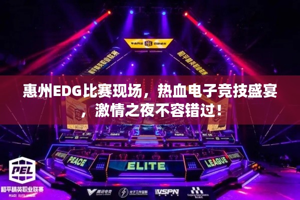 惠州EDG比賽現(xiàn)場(chǎng)，熱血電子競(jìng)技盛宴，激情之夜不容錯(cuò)過(guò)！