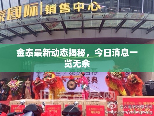 金泰最新動態(tài)揭秘，今日消息一覽無余
