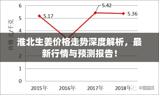 淮北生姜價格走勢深度解析，最新行情與預測報告！