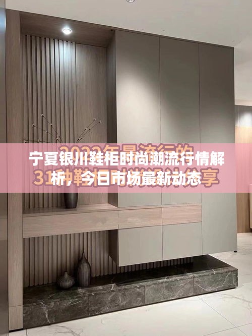 寧夏銀川鞋柜時(shí)尚潮流行情解析，今日市場(chǎng)最新動(dòng)態(tài)
