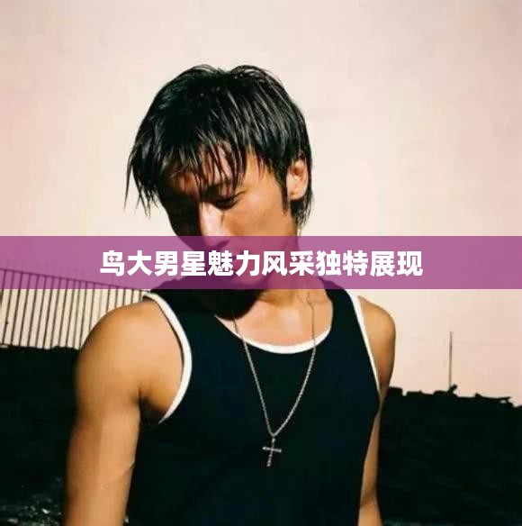 鳥大男星魅力風(fēng)采獨(dú)特展現(xiàn)