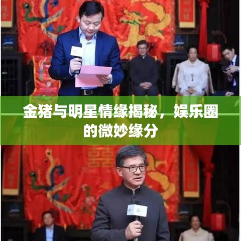 金豬與明星情緣揭秘，娛樂圈的微妙緣分