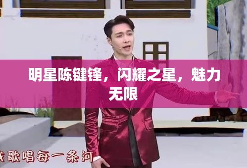 明星陳鍵鋒，閃耀之星，魅力無限