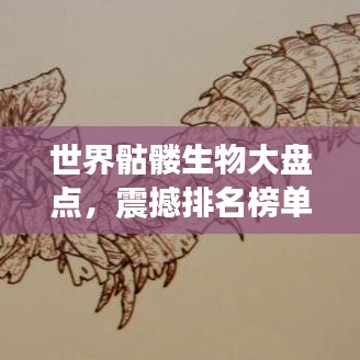 世界骷髏生物大盤(pán)點(diǎn)，震撼排名榜單