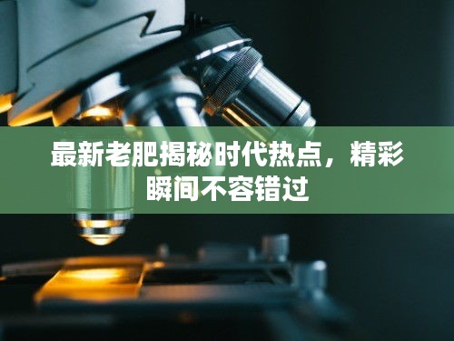 最新老肥揭秘時(shí)代熱點(diǎn)，精彩瞬間不容錯(cuò)過