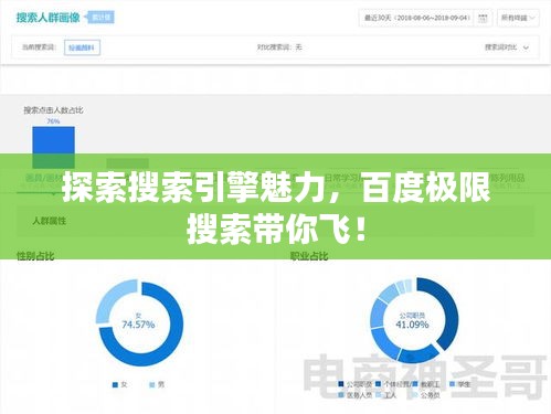 探索搜索引擎魅力，百度極限搜索帶你飛！