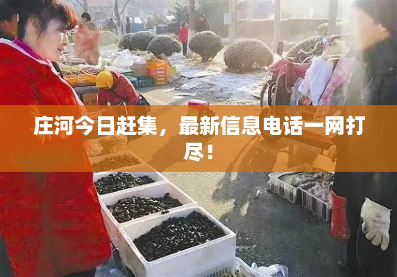 莊河今日趕集，最新信息電話一網(wǎng)打盡！