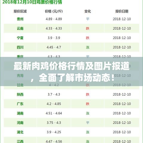 最新肉雞價格行情及圖片報道，全面了解市場動態(tài)！