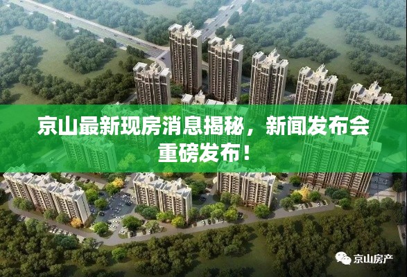 京山最新現(xiàn)房消息揭秘，新聞發(fā)布會重磅發(fā)布！