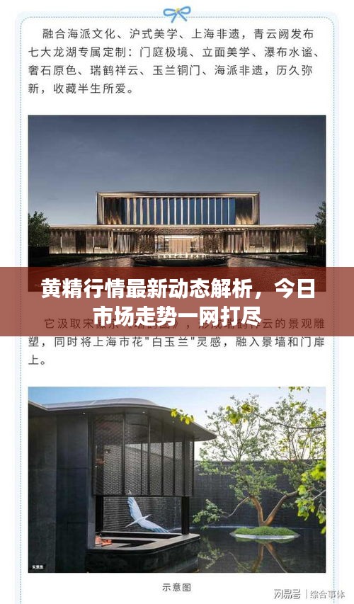黃精行情最新動態(tài)解析，今日市場走勢一網(wǎng)打盡