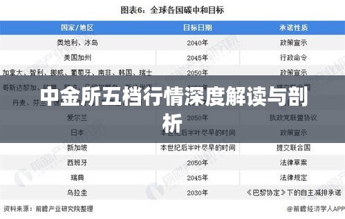 中金所五檔行情深度解讀與剖析